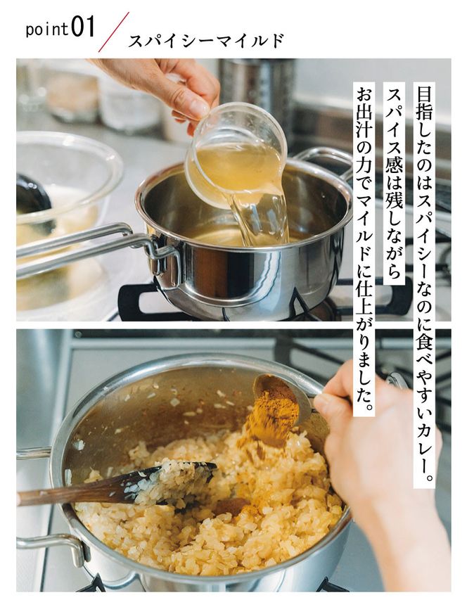 【きょうのおだし】スパイスだしカレー 2食入［ 京都 削り節屋 おだしのプロ スパイスカレー 人気 おすすめ 無添加 おいしい お取り寄せ 通販 送料無料 ふるさと納税 ］ 261009_B-KD38