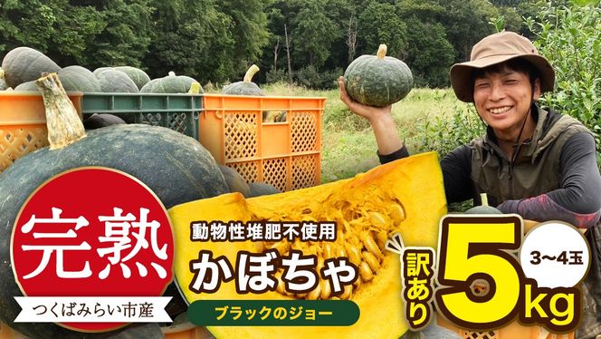 y錧΂݂炢szy A znڂ ubÑW[ 5kgi3`4ʁj ڂ ڂ قق ˂Ƃ Â Y 錧Y A   Y mFA19-NTn