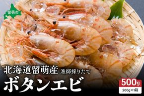 【年内配送　年内発送　北海道】 漁師採りたて ボタンエビ 500g 1箱　北海道留萌産 ボタンえび ぼたんえび ボタン海老 えび エビ 海老 お刺身 刺身 塩焼き 塩ゆで 天ぷら 海鮮 魚介 魚介類 北海道 留萌 留萌市 R006-013