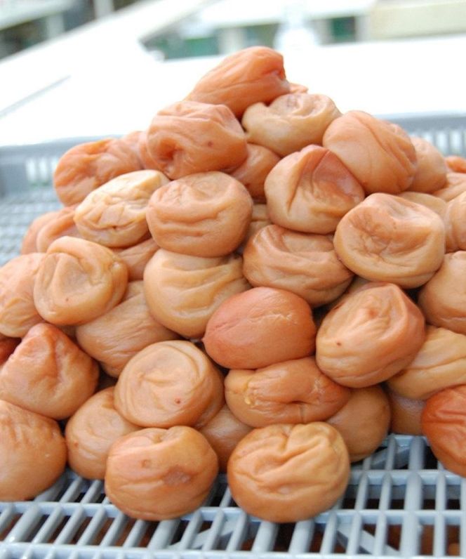 紀州南高梅　はちみつ漬け5Kg　T134