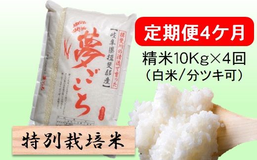 定期便 4カ月【 令和8年産 】毎月  精米 10kg（ 白米 /7分/ 5分 ツキ可）【 夢ごこち 】玄米は別に出品