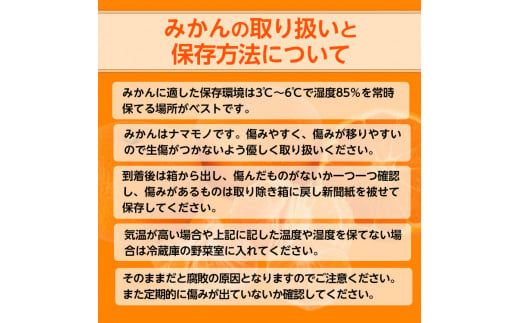 【先行予約】【ご家庭用】和歌山有田みかん約5kg(M、Lサイズ)【美浜町】