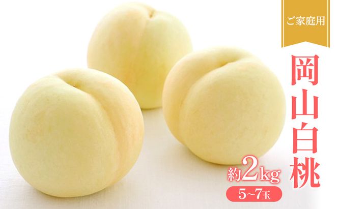 桃 2026年 先行受付 ご家庭用 岡山 白桃 約2kg (5～7玉) フルーツ 果物 岡山 赤磐市