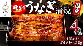 【牛久うなぎ祭り開催！期間限定の特別受付スタート】【 麻布しき 】 国産 鰻 蒲焼 × 4尾  土用の丑の日 鰻祭り うなぎ ウナギ 冷凍 おいしい 蒲焼き かばやき たれ焼き 土用 丑の日 無頭 タレ 山椒 付 縁起 敬老の日 名店 老舗