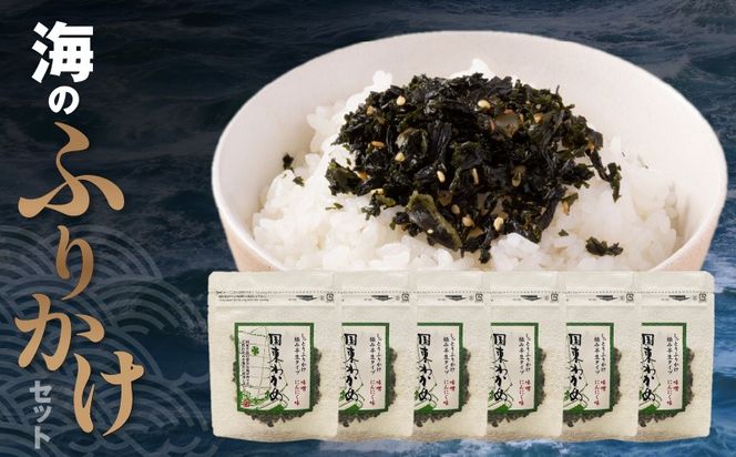 ごはんが進む！海のふりかけ 6袋（わかめのみ） 半生 ソフトタイプ_2515R-6