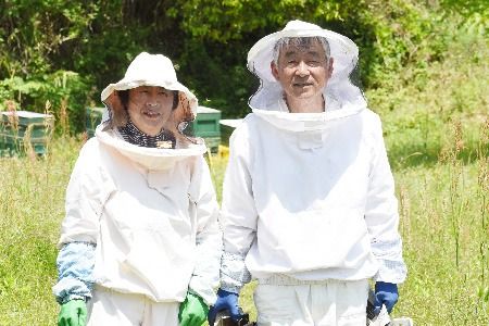 【数量限定】2025年産 国産天然蜂蜜（初夏の蜜）300g & 280g【合計580g】【蜂蜜 パンケーキ ヨーグルト 甘み フルーティ とろとろ】(H049128)