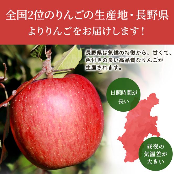 りんご 自家用りんご サンふじ 約5kg フルーツ 果物 甘い 林檎