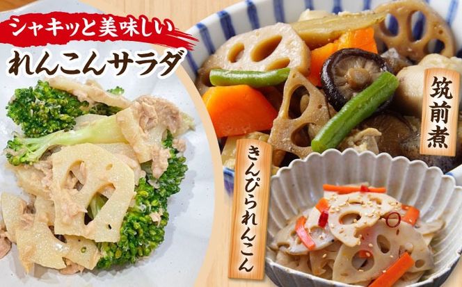 産地直送！土付き蓮根（5kg）【清水食品株式会社】れんこん レンコン 愛知県産 野菜 産地直送 愛西市 /  清水食品株式会社[AEAJ002]