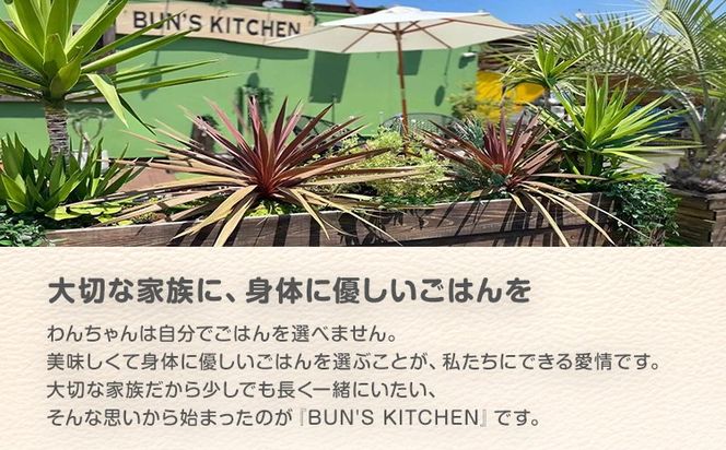 犬用おせち 無添加犬用 極上おせちII 獣医師監修 犬の管理栄養士監修 全10品 国産 犬用 おせち 御節 お節 ペット お正月 正月 年越し 元旦 ごちそう ディナー 豪華 おやつ プレゼント ギフト 小型犬 中型犬 大型犬