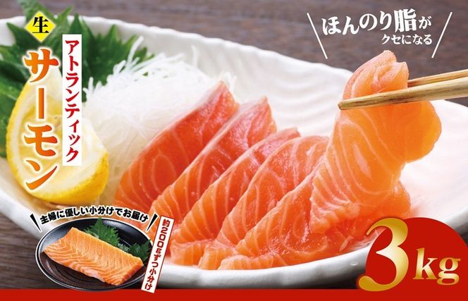 y{򍲖szG3554 HIAgeBbNT[ v3kgy ؂ hg  CNz