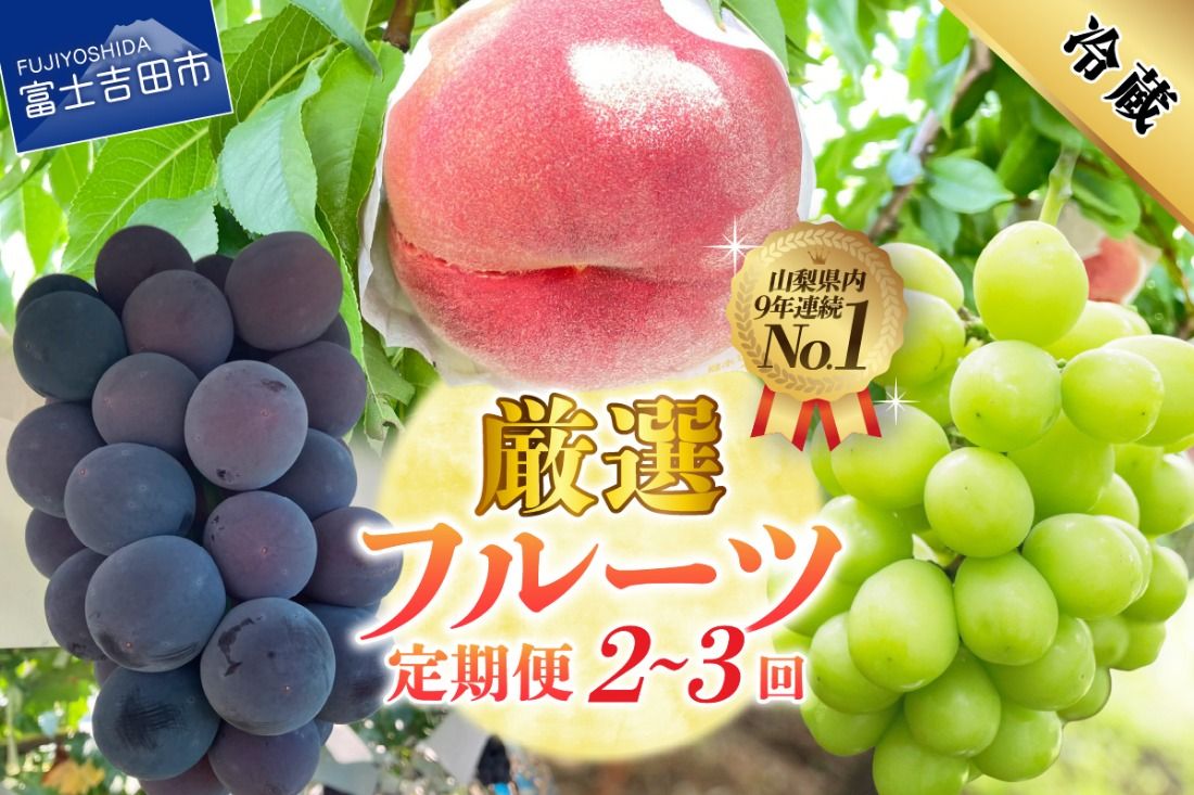 [2026年発送 先行予約][定期便] 厳選 フルーツ定期便 2回 3回 もも 黒ぶどう シャインマスカット 果物 フルーツ 旬 くだもの 山梨 富士吉田