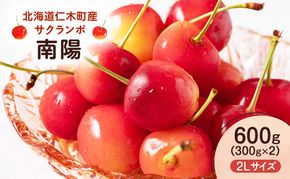 先行予約 北海道 仁木町産 さくらんぼ 南陽 600g （300g×2） 2L以上　旬の果物 サクランボ チェリー フルーツ 果物 果物類  仁木町 仁木 [UMIX FARM]