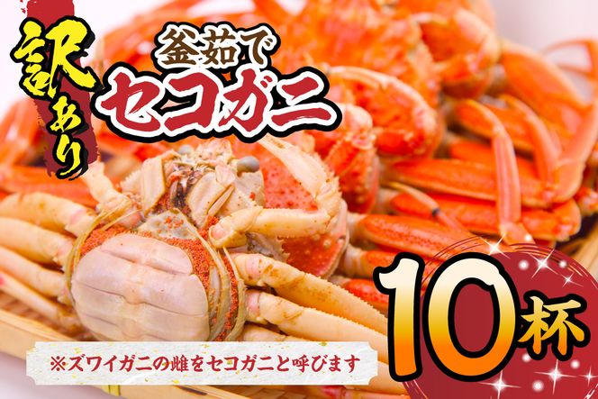 【セコガニ 訳あり（欠足 キズ 汚れなど）約120g×10匹 冷凍】 国産 カニ かに 蟹 松葉がに せいこがに メスガニ 親ガニ 濃厚 かにミソ かにみそ 蟹味噌 やみつき 内子 外子 絶品 産地直送 絶妙 茹で加減 大人気 人気 おすすめ ふるさと納税 返礼品 兵庫県 香美町 香住 柴山 SKG WKA 日本海フーズ 20000円 07-117