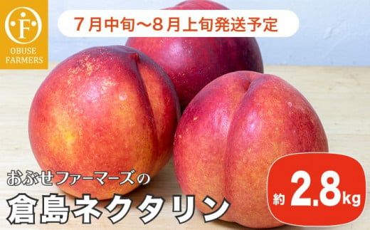 長野産 倉島ネクタリン 約2.8kg ［おぶせファーマーズ］先行予約 ネクタリン 果物 フルーツ 冷蔵便 クール便 長野県産 信州産 令和8年産【2026年7月中旬～8月上旬発送】