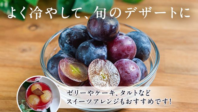 ピオーネ 約4～5kg 約7～9房【2026年8月より発送開始】（茨城県共通返礼品 [ぶどう]：結城市産）田舎の頑固おやじが厳選！ ぶどう ブドウ 葡萄 種なし 大粒 高糖度 ギフト 甘い 美味しい フルーツ [BI287-NT]