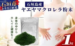 石垣島産ヤエヤマクロレラ粉末（1kg）AR-3【ヤエヤマクロレラ 健康 美容 石垣島産】