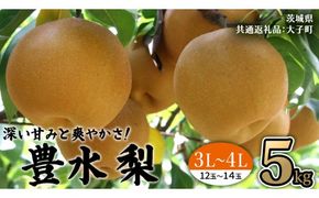 茨城県産 梨 豊水 サイズ おまかせ （ 3L～4L ） 5kg （ 12～14玉 ） 【2026年9月上旬発送開始】 (茨城県共通返礼品：大子町) 梨 なし ナシ 果物 くだもの 季節 フルーツ デザート 旬果
