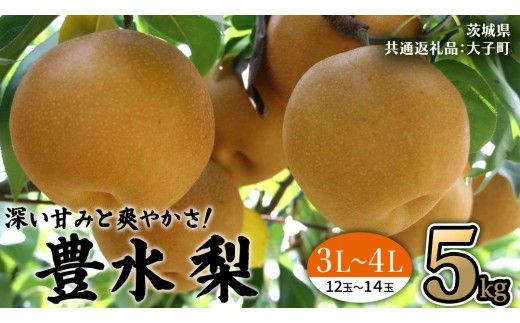 茨城県産 梨 豊水 サイズ おまかせ （ 3L～4L ） 5kg （ 12～14玉 ） 【2026年9月上旬発送開始】 (茨城県共通返礼品：大子町) 梨 なし ナシ 果物 くだもの 季節 フルーツ デザート 旬果