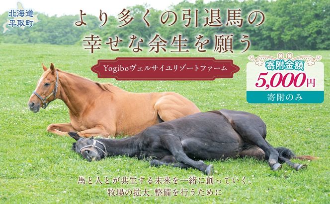 【5千円コース 返礼品無し】より多くの引退馬の幸せな余生を願う　Yogiboヴェルサイユリゾートファーム BRTV024-02