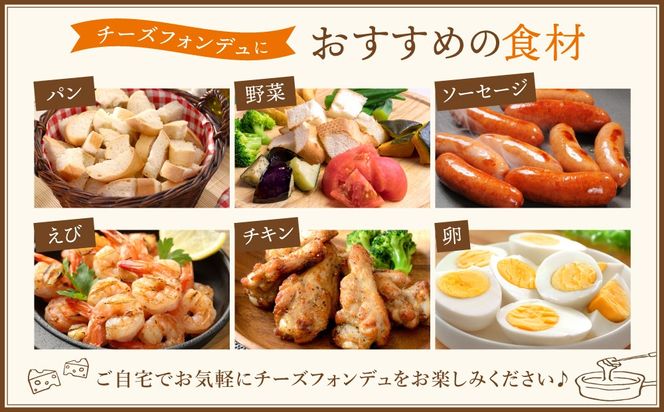 牧家のチーズフォンデュ100g×5袋｜北海道 伊達市 Bocca ナチュラルチーズ パルメザンチーズ パーティー【bca-004】
