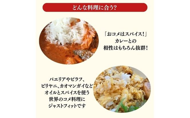令和7年産 サリークイーン500g×4袋 香り米 米 こめ　 [№5735-3479]
