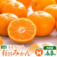 【2026年先行予約】みかん Ｍサイズ 秀品 箱込 7.5kg ( 内容量 6.8kg ) 有田みかん 和歌山県産 産地直送 贈答用 【みかんの会】_MK1045