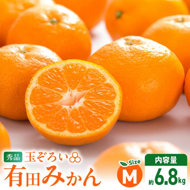 【2026年先行予約】みかん Ｍサイズ 秀品 箱込 7.5kg ( 内容量 6.8kg ) 有田みかん 和歌山県産 産地直送 贈答用 【みかんの会】_MK1045