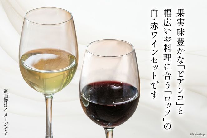 白 赤 ワイン 2本 セット フェリーチェ ビアンコ ロッソ 各 750ml [Poggio Verde（ポッジョ ヴェルデ） 長野県 池田町 48110665] ワインセット 白ワイン 赤ワイン わいん 国産ぶどう使用 お酒 酒 アルコール