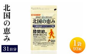 北国の恵み　１袋（９３粒）　３１日分【290001】