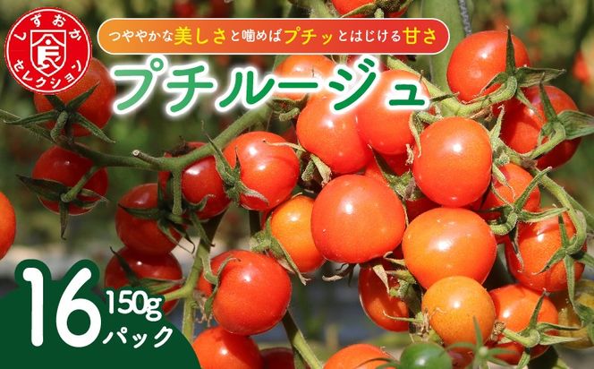 ミニ トマト プチルージュ 150g × 16パック 野菜 やさい 新鮮 旬の野菜 産地直送 高糖度 甘い プチ フルーツ ソース ジュース ケチャップ に 静岡県 藤枝市
