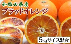 【希少・高級柑橘】国産濃厚 ブラッド オレンジ 「タロッコ種」5kg ※2027年4月上旬～5月上旬頃順次発送【tec968】