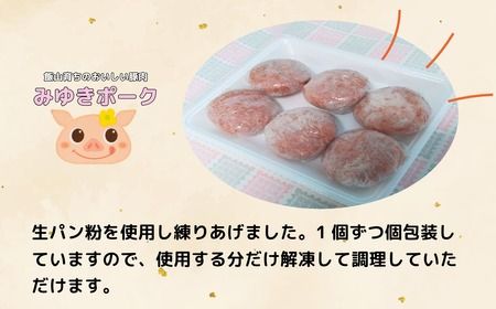 みゆきポーク手作りハンバーグ（6個入り）（Bo-005）