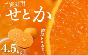 せとか ご家庭用 たにぐち農園の せとか 4.5kg 大小混合【2026年3月から4月上旬までに順次発送】 / 家庭用 ご家庭用 せとか みかん 蜜柑 サイズ 不揃い【mtn012C】