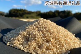 【栽培期間農薬不使用】R7年産 マキタ超こしひかり 玄米5kg【茨城県共通返礼品・行方市産】【おいしい お米 マキタ 減農薬 安心  鹿嶋市】（KBE-91）