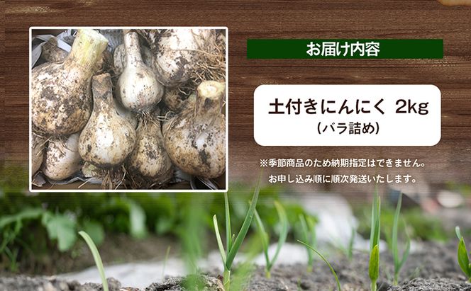 鮮度抜群！土付きにんにく 2kg 野菜 根菜 