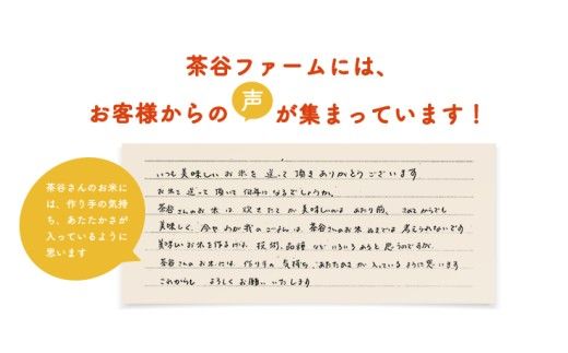【新米　先行予約】令和8年産近江米　コシヒカリ 白米【5kg×1袋】【V022W】