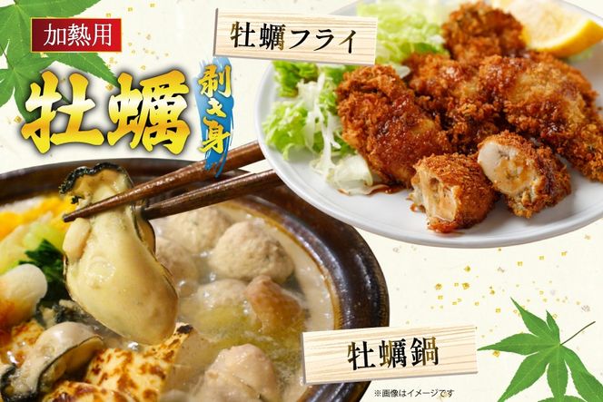 【期間限定発送】 訳あり 牡蠣 むき身 【加熱用】 500g×1p (約25‐40個入) [住喜水産 宮城県 気仙沼市 20566373] 冷蔵 新鮮 濃厚 真牡蠣 カキ かき 魚貝類 貝 海鮮 魚介類 なべ カキフライ 牡蠣ご飯 魚介