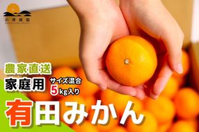 有田みかん ご家庭用 5kg S～2Lサイズ混合 FK01