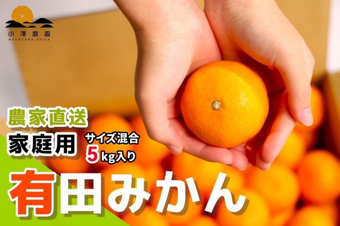有田みかん ご家庭用 5kg S～2Lサイズ混合 FK01
