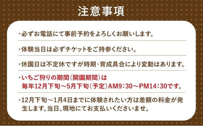 いちご狩り 40分食べ放題 ペア参加券  いちご 苺 いちご狩り 食べ放題 愛西市 / 有限会社マロンライフ[AEBN001]