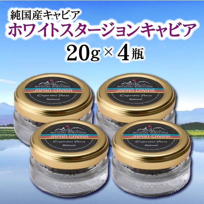 【純国産キャビア】ホワイトスタージョンキャビア 80g 皇帝の涙 国産 チョウザメ 魚卵 宮崎県 宮崎 小林市