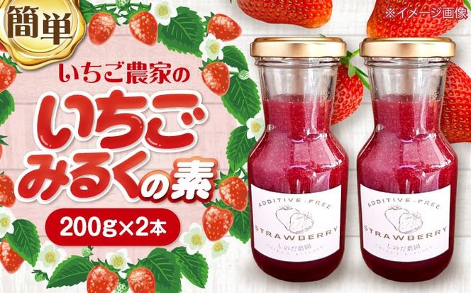 いちご農家の手作り いちごみるく の素 苺 美味しい 苺牛乳 愛西市 / しのだ農園[AECE002]