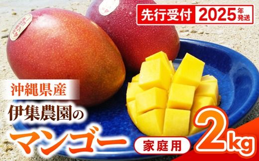 【先行受付】【2025年発送】伊集農園 沖縄県産マンゴー ご家庭用 約2kg