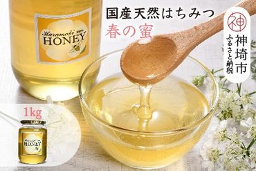 【数量限定】2024年産 国産天然蜂蜜（春の蜜）1kg【蜂蜜 パンケーキ ヨーグルト 甘み フルーティ とろとろ】(H049115)