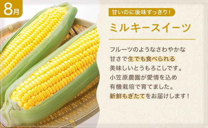 十勝幕別の定期便 お楽しみコース年6回お届け 加工食品 乳製品 チーズ 野菜 とうもろこし じゃがいも 