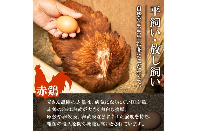 ＜お試し用＞ 平飼い赤鶏のたまご (計10個) 元さん農園 卵 玉子 卵かけご飯 玉子焼き 平飼い 鶏 鶏卵 養鶏場直送送 朝採れ 新鮮 大分県 佐伯市 【GE002】【 (株)海九】