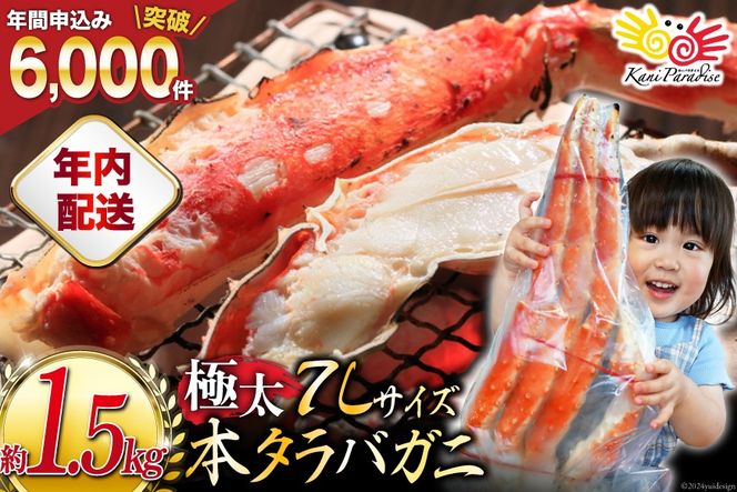 【年内配送 12/15まで受付】本 タラバガニ 脚 ボイル済 約1.5kg 極太7Lサイズ [カネダイ 宮城県 気仙沼市 20564326] カニ かに 蟹 たらばがに たらば蟹 タラバ蟹 たらば タラバ ボイル 