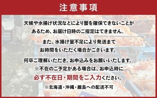 【冷蔵】自社漁船直送！魚卸問屋の紅ズワイガニ 400g級×2ハイセット ※2026年9月～発送