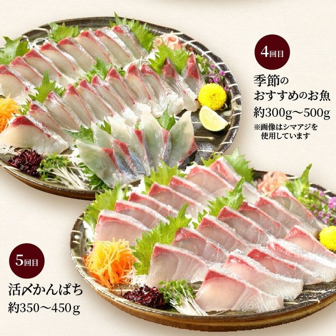 【お楽しみ定期便】延岡産活〆鮮魚の豪華お刺身 （6ヶ月定期便）請関水産　N019-YF073