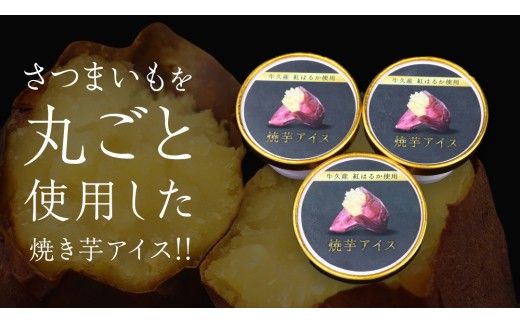 牛久市産 紅はるか 使用 焼き芋アイス 12個 入り アイスクリーム さつまいもスイーツ 焼き芋味 べにはるか 夏 アイス ギフト さつま芋 味 焼き芋 味 サツマイモ 冷凍 贈り物 [EJ009us]